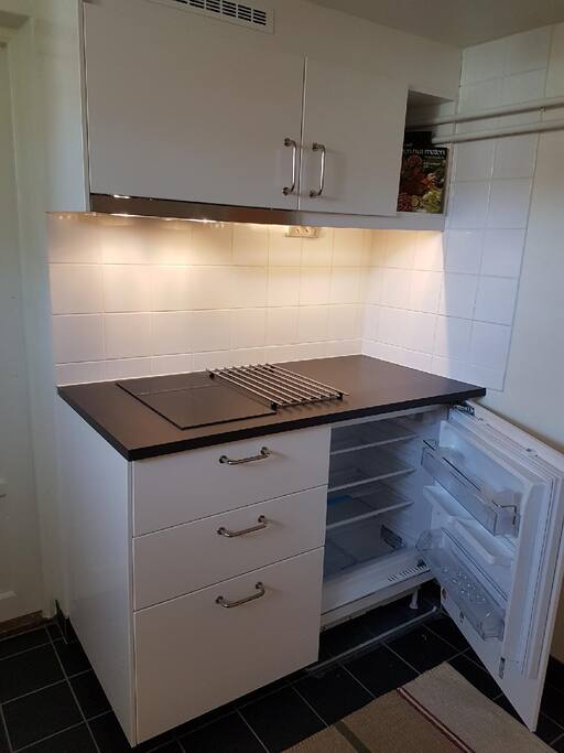 Fridge with small feezing compartment