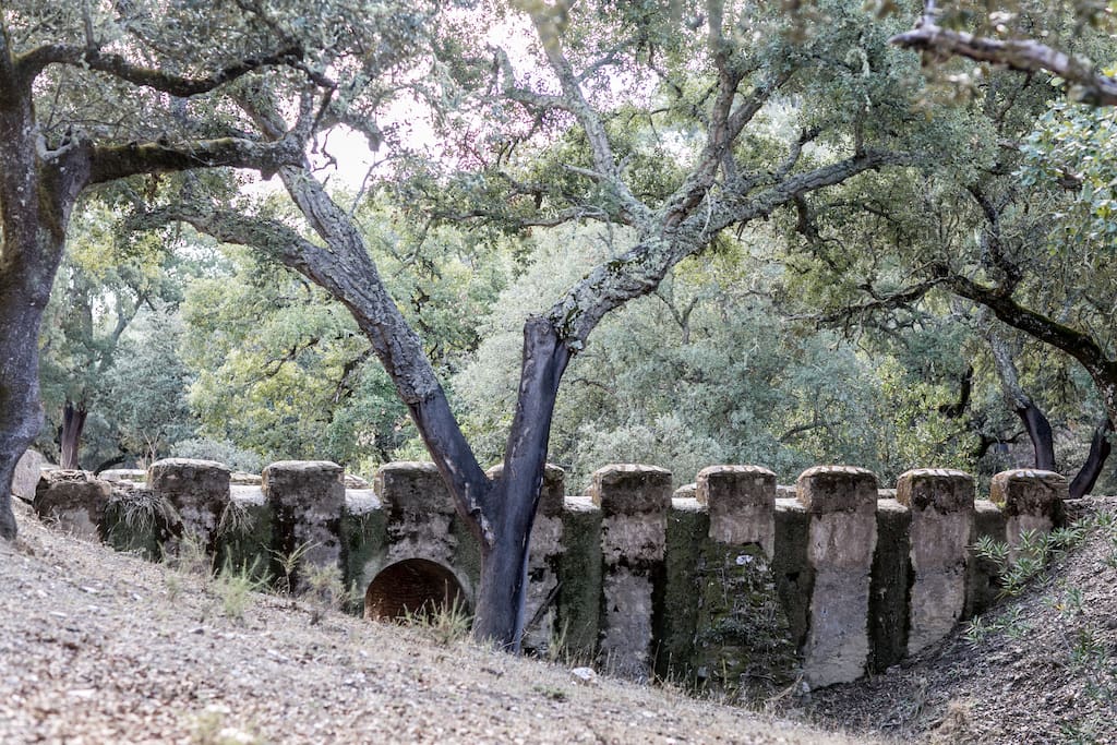 Puente en el camino