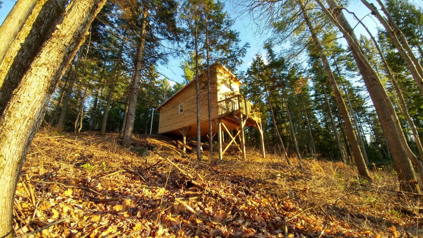 Cabane perche