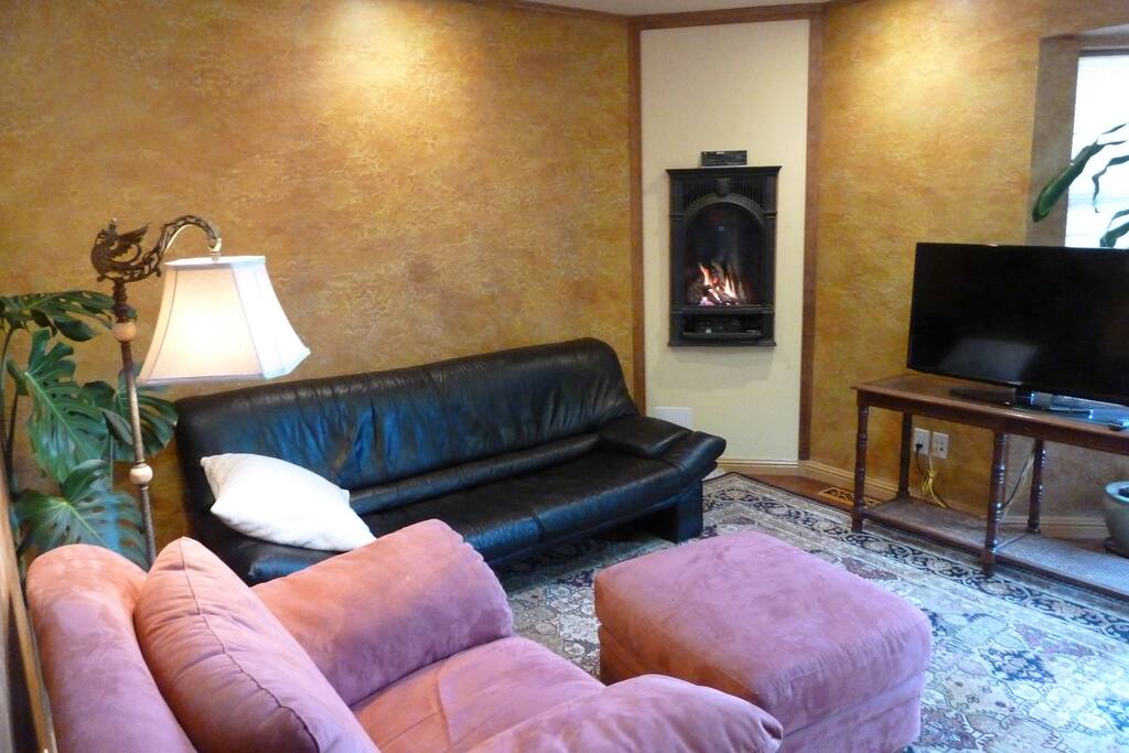gas fireplace, TV, cozy couches, beautiful rug, views from couch out French doors to another private deck