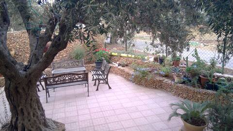 E. Jeruzsálem Home w Gyönyörű kert - 1. szoba