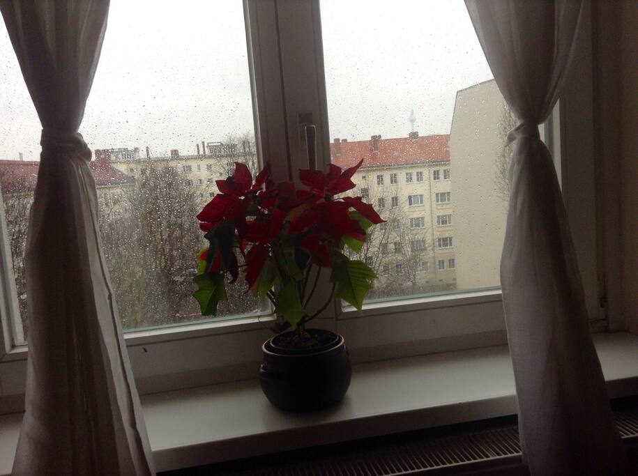 Blick aus dem Fenster
