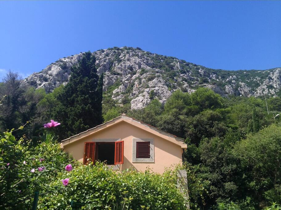Lobagola Mediterra front view perspective