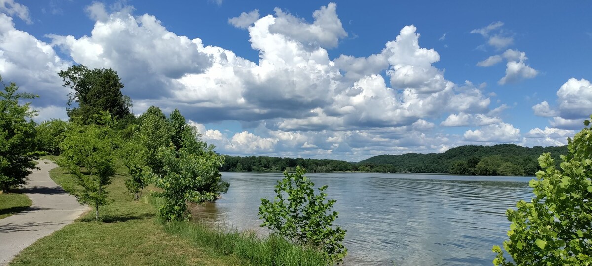 A serene lakeside view showcases a calm body of water bordered by lush greenery. Soft clouds drift across a bright blue sky, and a walking path edges the scene, inviting leisurely strolls amidst nature's tranquility.