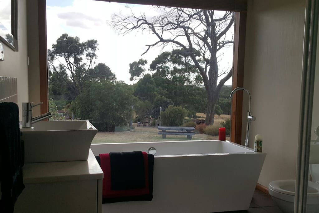 bathroom with a view
