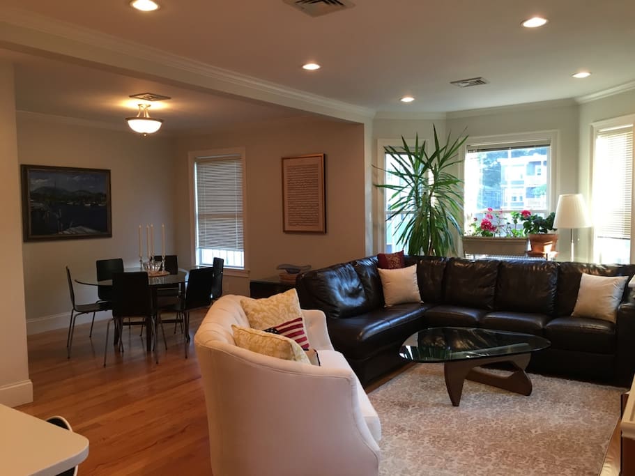 Open living/dining area