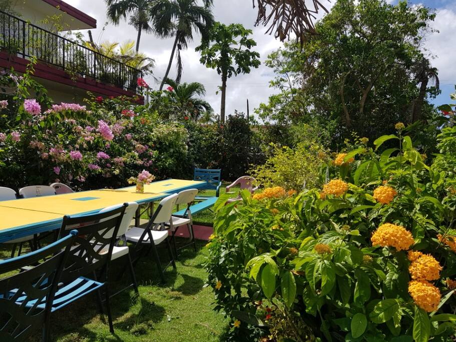Garden