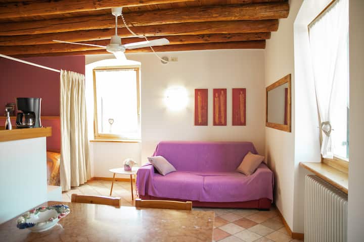 Le Ginestre Countryhouse - Lazise