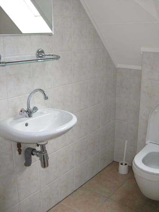Separate bathroom: Toilet & basin