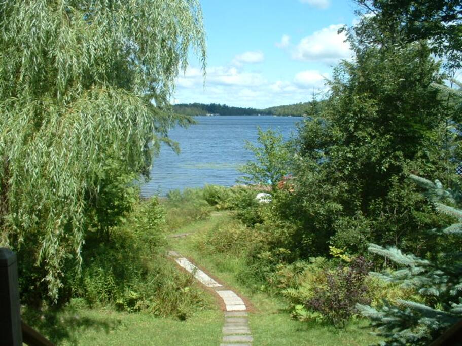 path to the dock