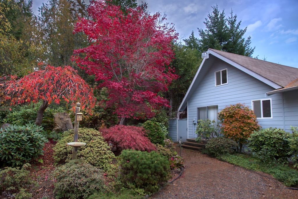 Beautiful landscape yard.