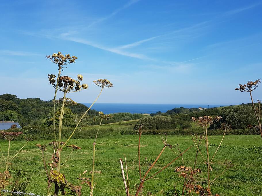 Holiday cottage near the sea