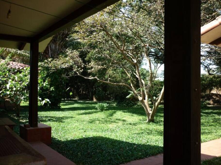 Garden view