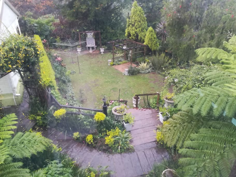 Part of our very large garden