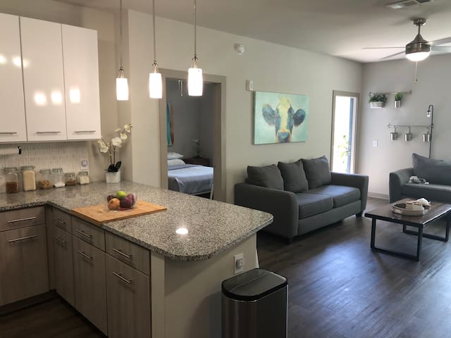 Private Room; Modern Luxury Savannah Apartment