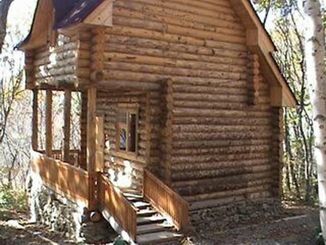 Дом у берега моря, Владивосток ("Теремок")