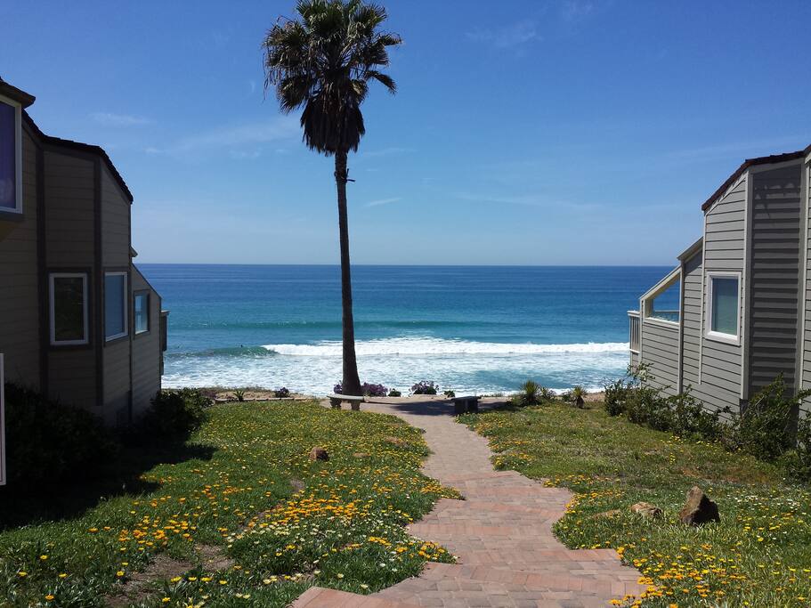 Seabluffe Grounds