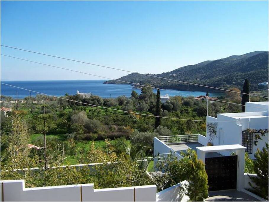 View
