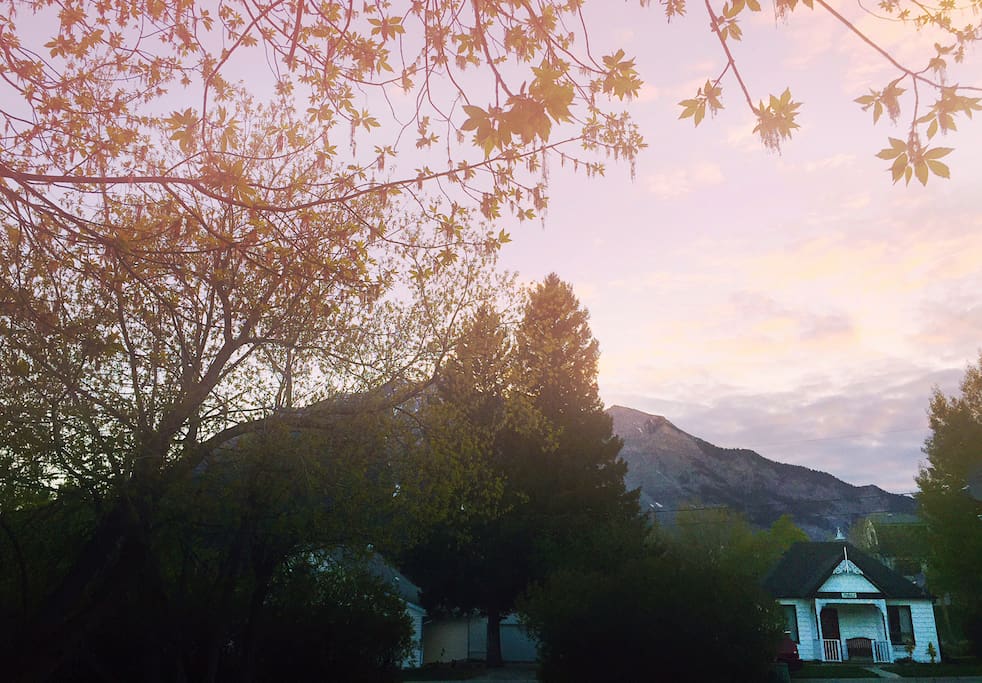 Summer Evening