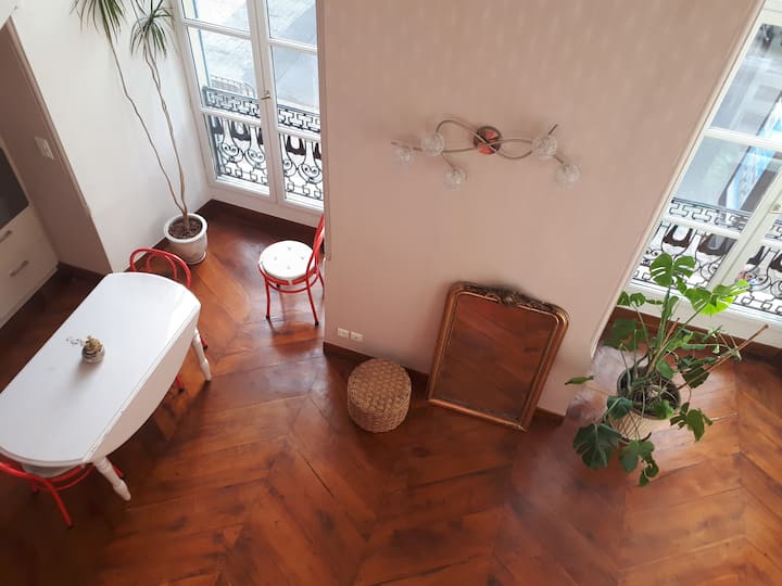 Duplex Hôtel Particulier Coeur Historique Millau - Millau