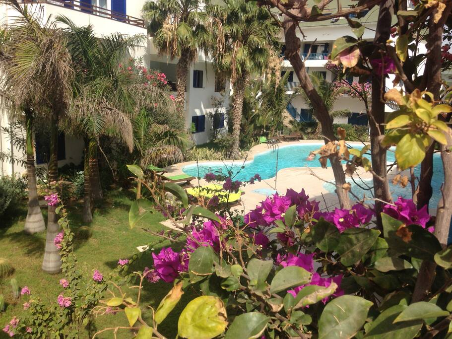 Lovely gardens