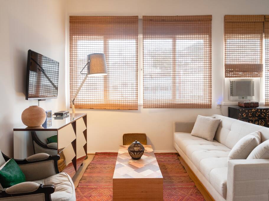 Our modern style living area