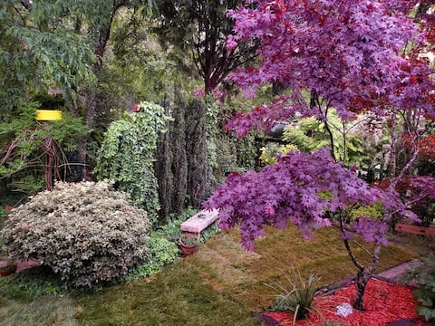 Secret Garden Studio
