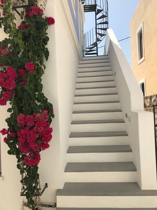 Stairs to entrance door