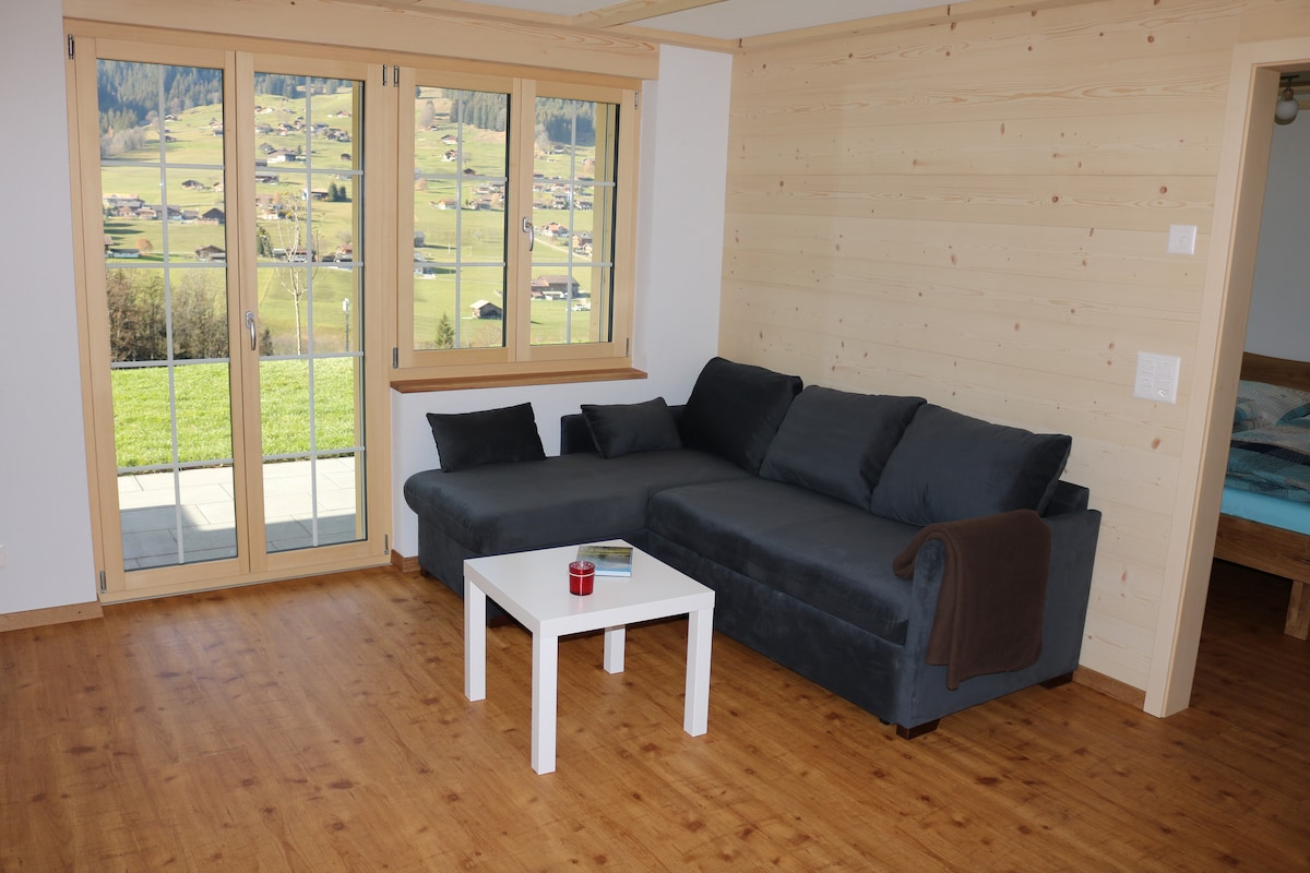 Successful Airbnb property: Newly built apartment, Lenk-dänk... in Lenk
