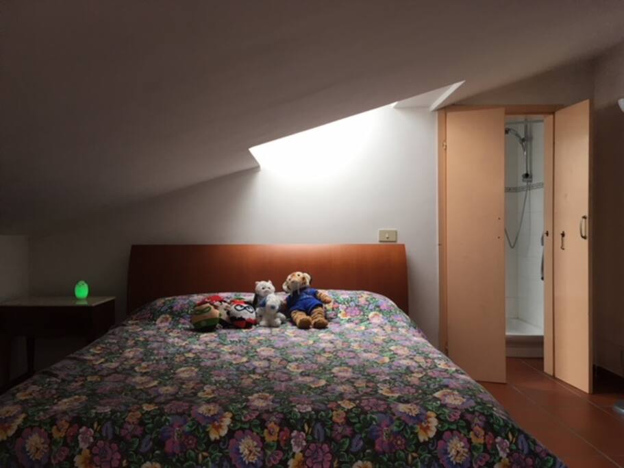 Camera da letto con Bagno privato, doccia , lavatrice. Tv aria condizionata .