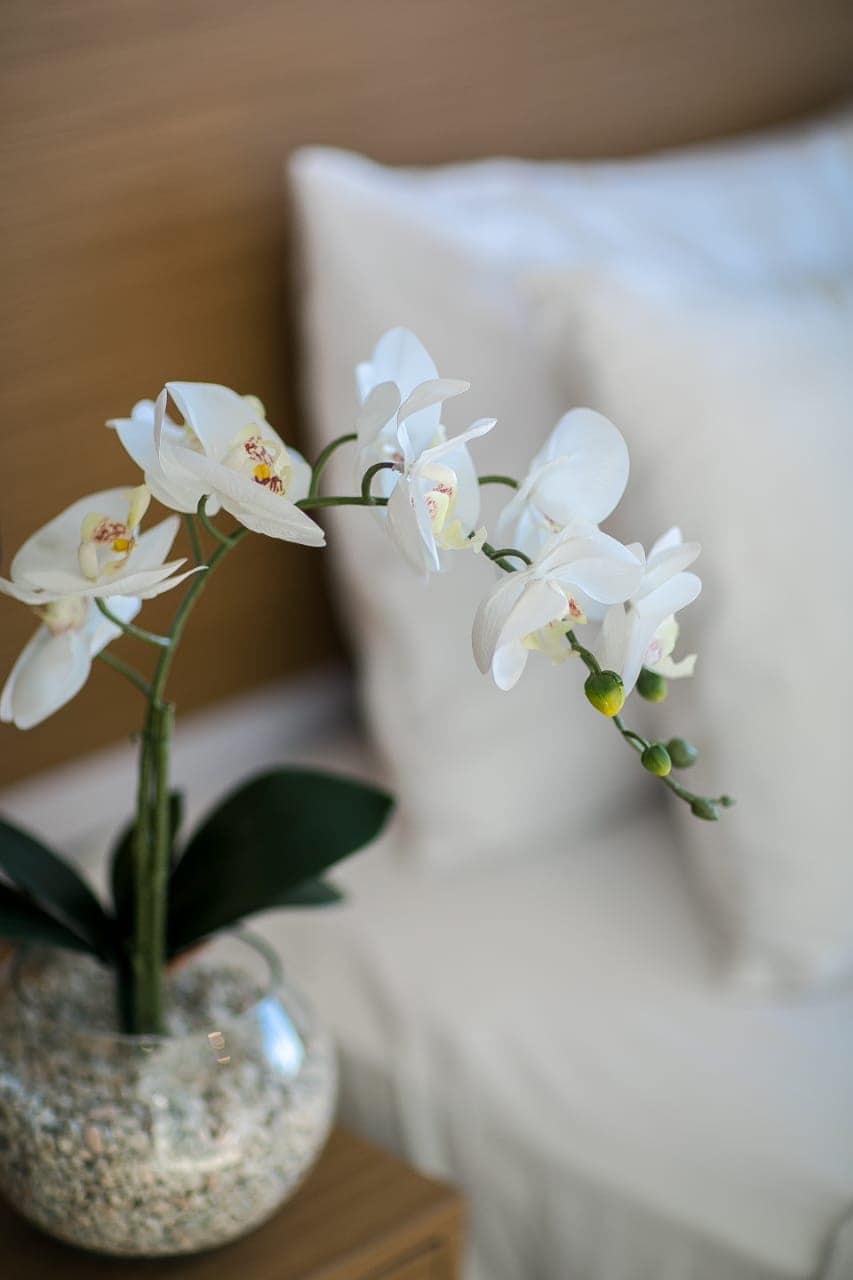 Villa in South Kuta · ★4.9 · 2 bedrooms · 3 beds · 2 private baths รายการ Airbnb เปรียบเทียบ