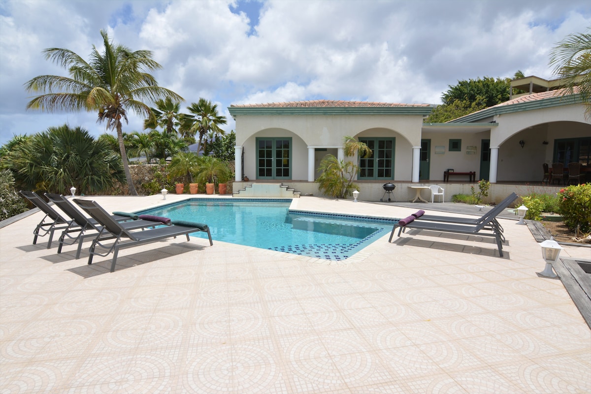 A private pool is positioned at the center of the outdoor space, surrounded by lounge chairs. Tropical plants line the space, with a covered porch visible in the background. Clear blue skies and a few clouds occupy the horizon, enhancing the serene environment.