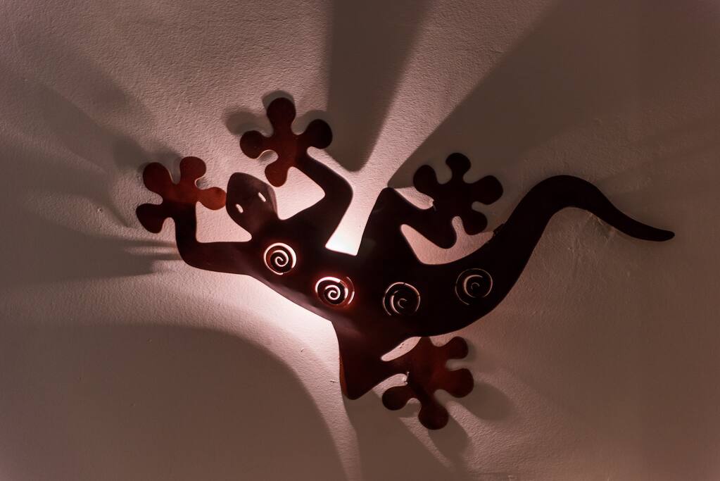 Detalle salón - Lámpara salamandra