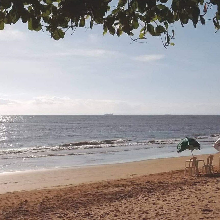 A sandy beach extends towards the horizon, with gentle waves lapping at the shore. Beach chairs are positioned under green umbrellas, offering shade. The calm sea reflects the light of the sky, creating a serene coastal atmosphere.