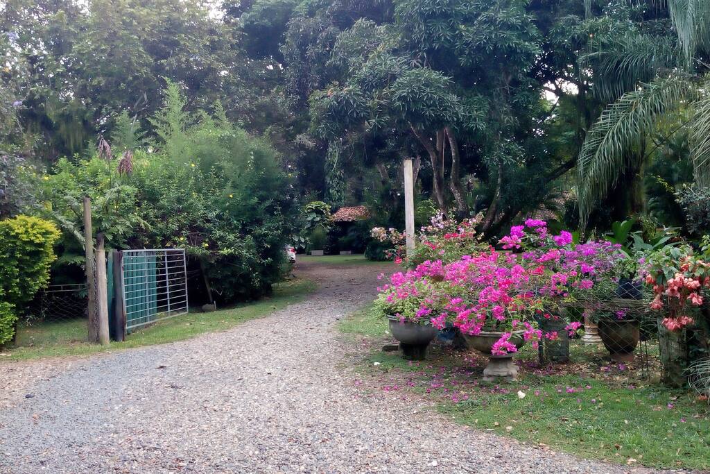la finca es conocida como El Vivero, puesto que desde el ingreso encontrarás vegetación,