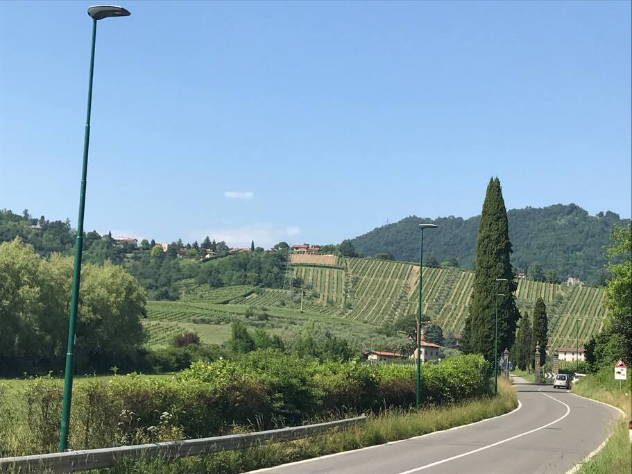 Dintorni