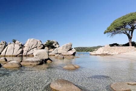 Appartement Porto-Vecchio de 1 à 4 personnes