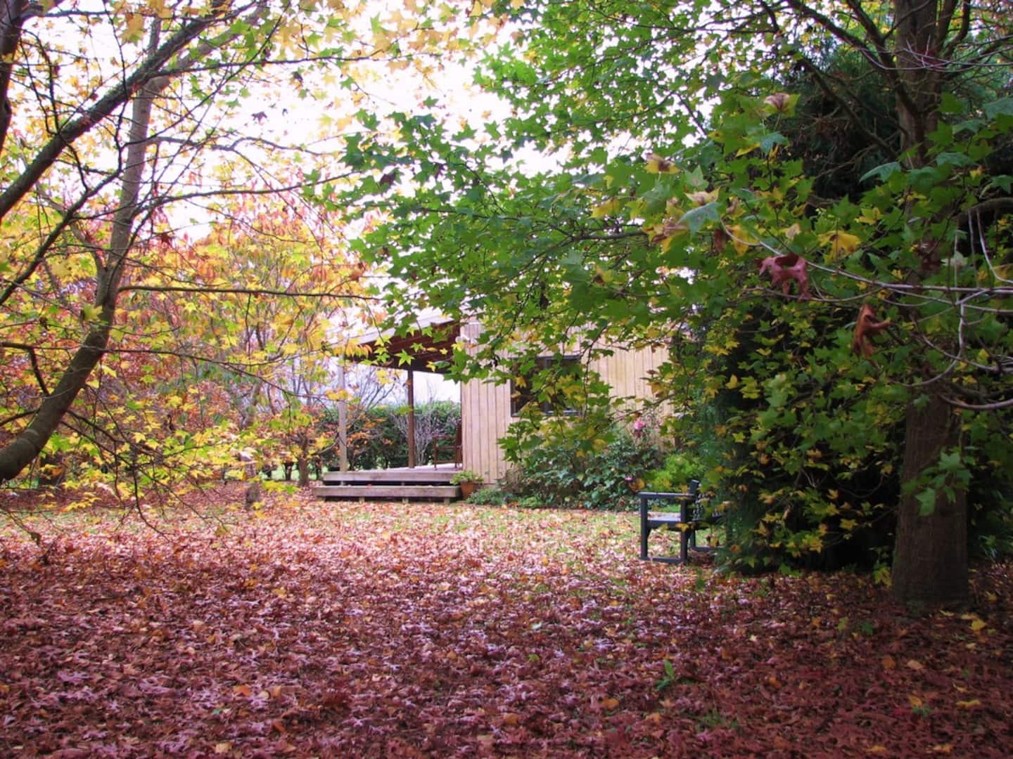Shaftesbury Glade Cottages Near Manawaru Village 1