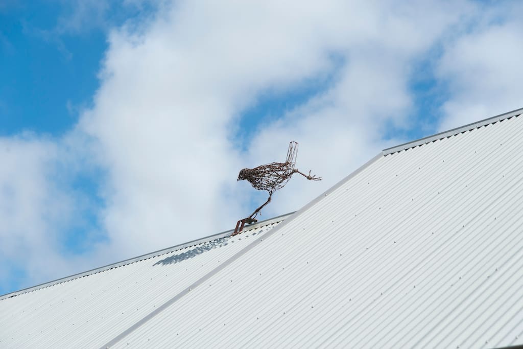 Yes, there IS a chook on the roof!
