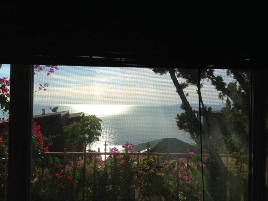 BREATH TAKING BLUE WATER, CATALINA, SUNSET, SUNRISE OCEAN VIEWS.