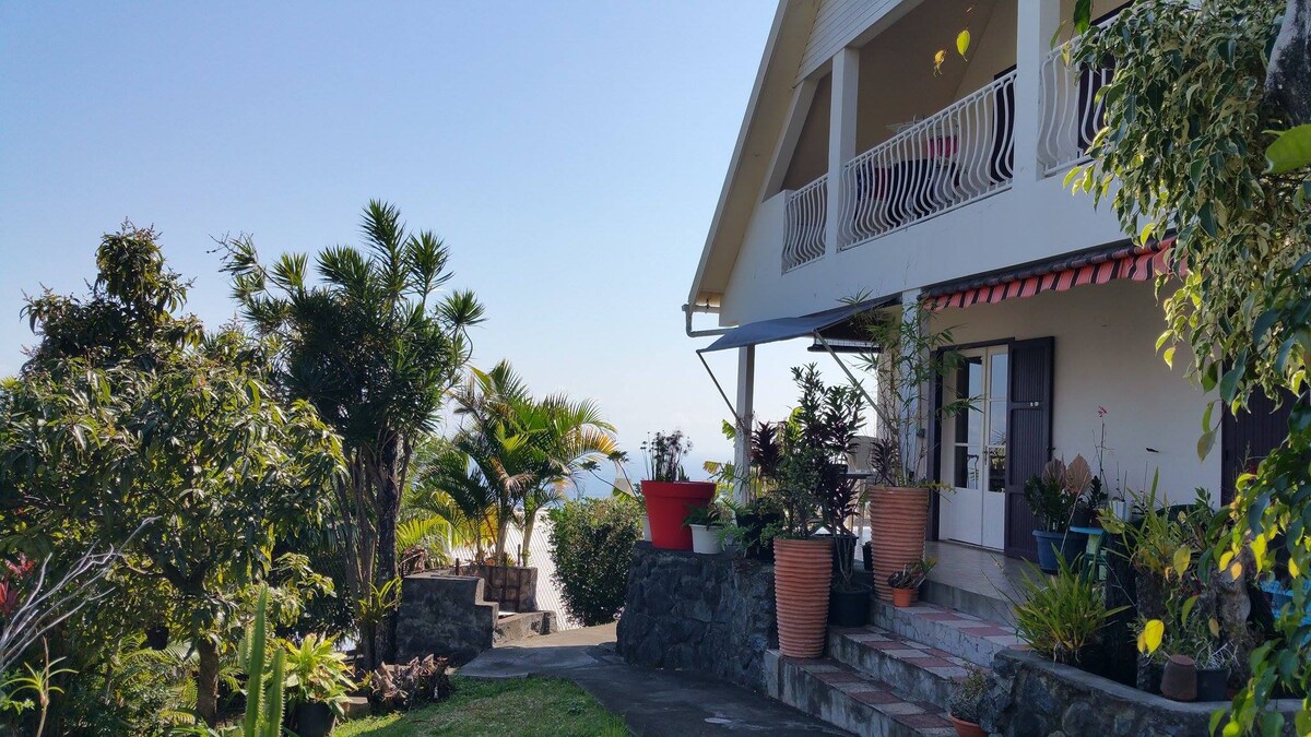 Изглед към градината