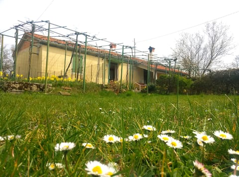 Successful Airbnb property: Relaxing place near old town Labin in Presika