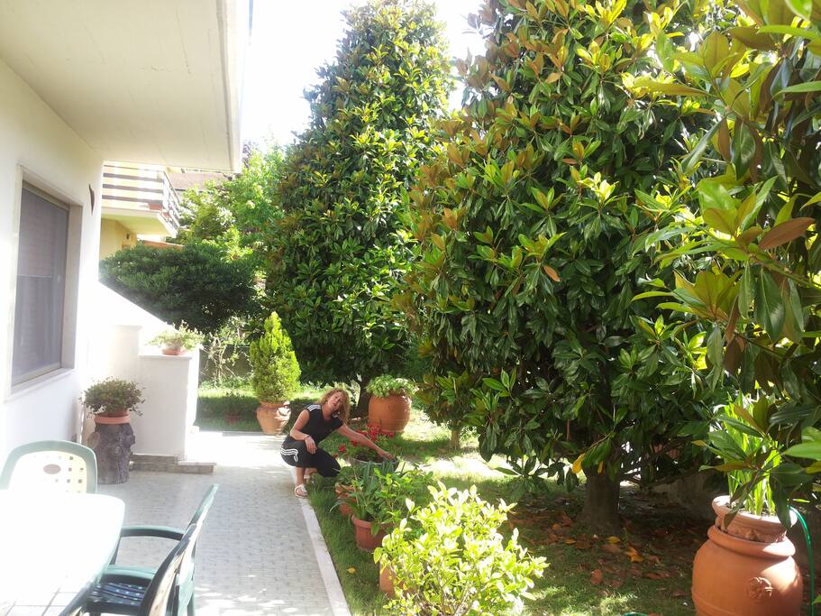 Porzione giardino lato ingresso .