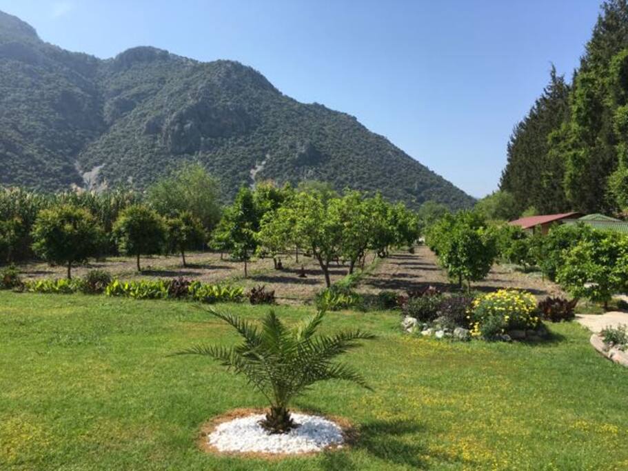 Gardens