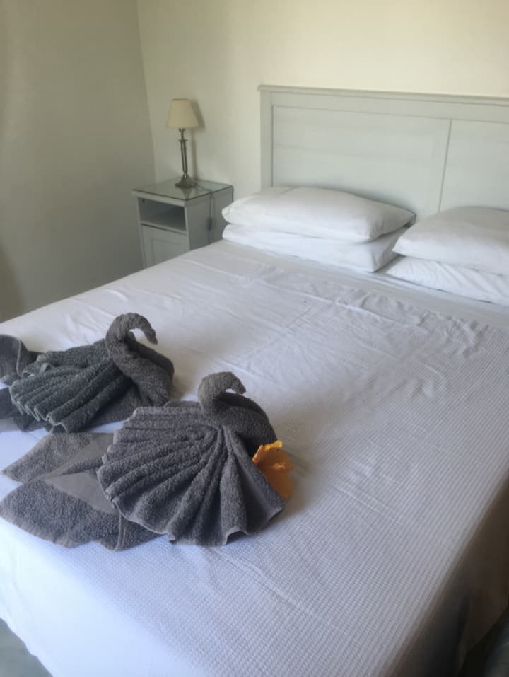 ორიადგილიანი ნომერი მთავარ შენობაში 