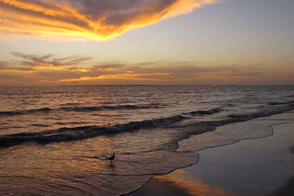 Bed Breakfast Fort Myers Beach Bed Breakfast Fort Myers Beach
