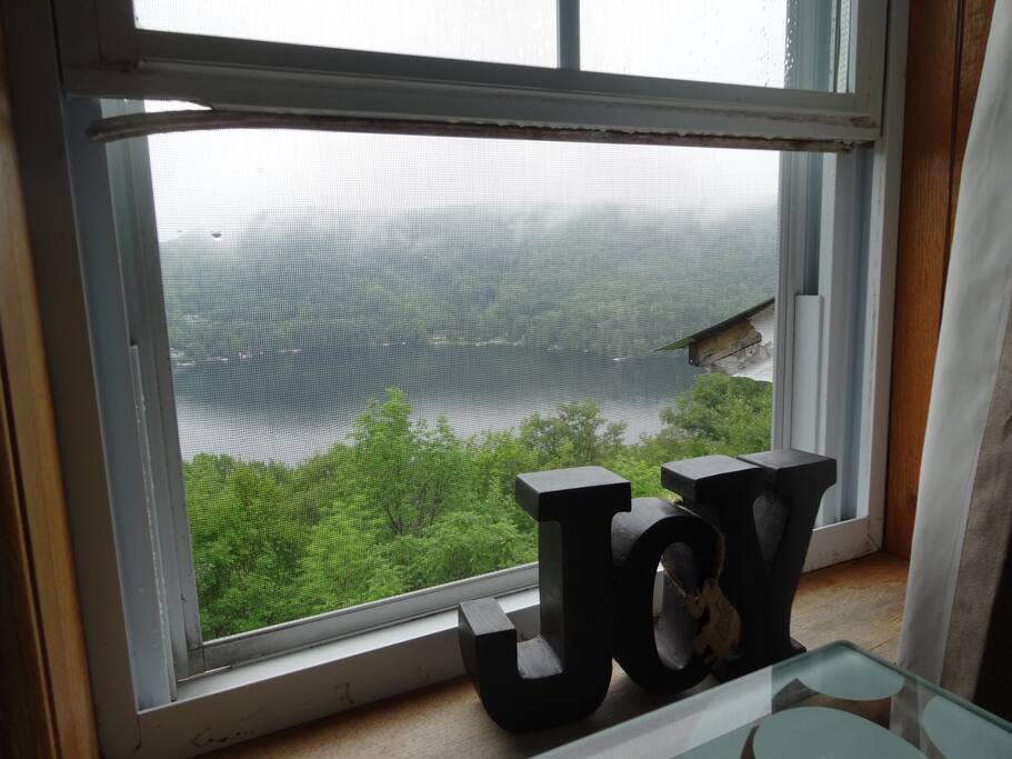 View from my computer on a rainy day
