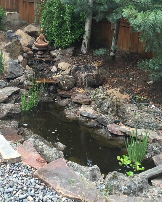 Peaceful courtyard pond w/ waterfall