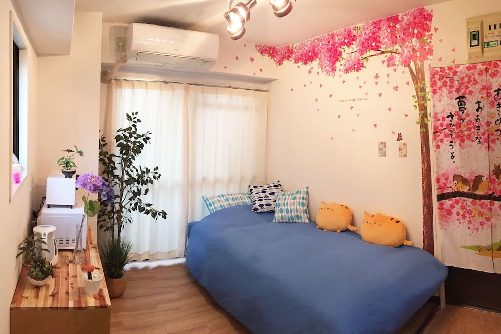 Studio type room with Sakura Coordination