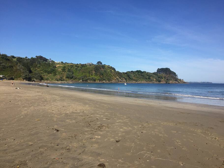 Beautiful Palm beach 5 min walk down the road